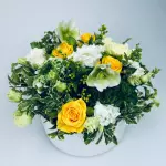 WhatsApp Image 2025-12-29 at 19.54.12